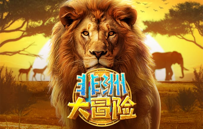 6686官方版app下载