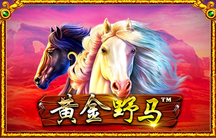 28圈注册网站链接