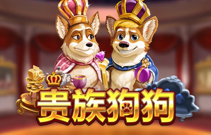 中欧体育官网vip入口
